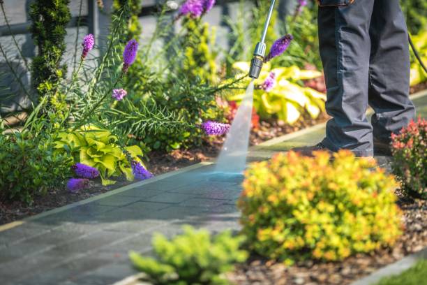 Best Animal Enclosure Cleaning  in Maria Stein, OH